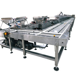 Center Filled Cake Production Line (Custard Pie)